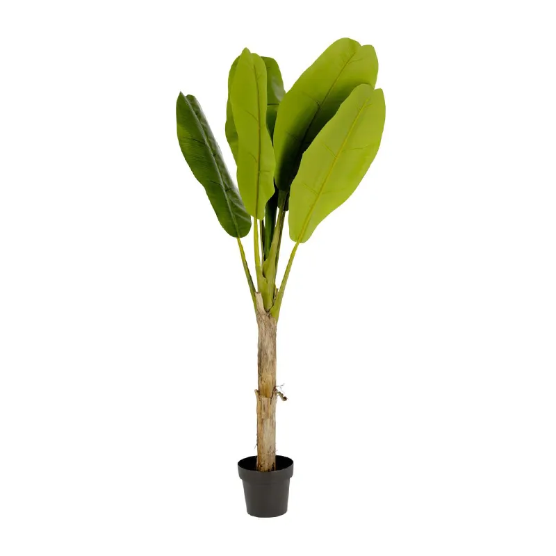 Tunc banano decorativo 160cm